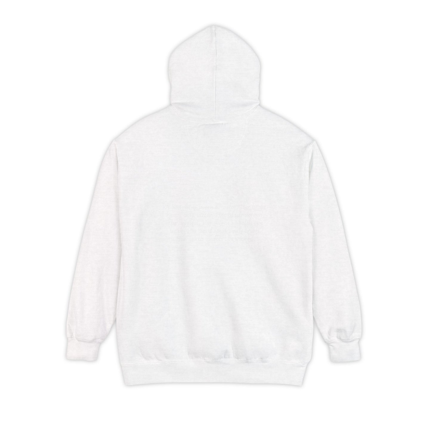 Knights of the Code Hoodie